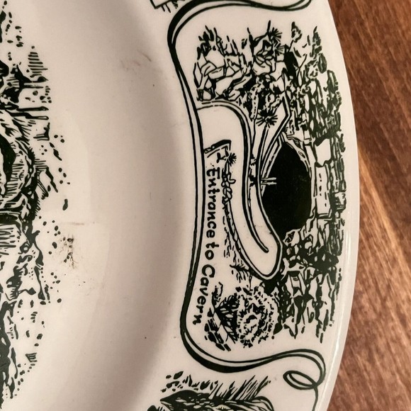 VTG Carlsbad Cavern New Mexico National Park Green White Collector Plate - Picture 3 of 12